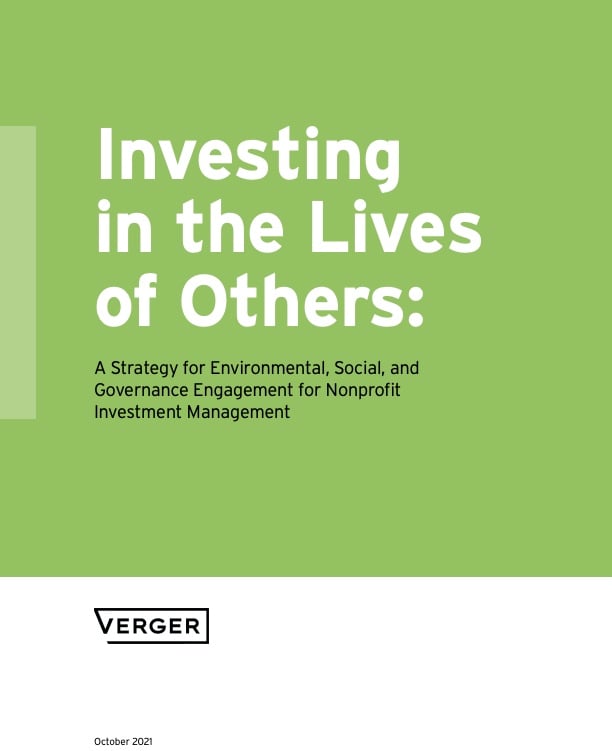 Investing-Whitepaper-Verger